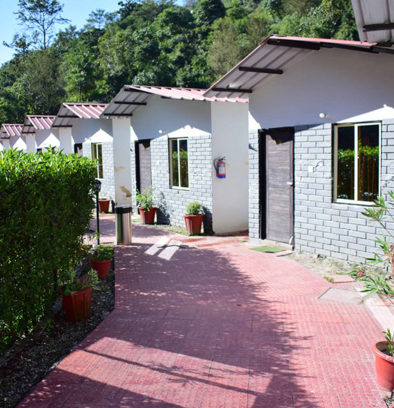 luxury-accommodation-service